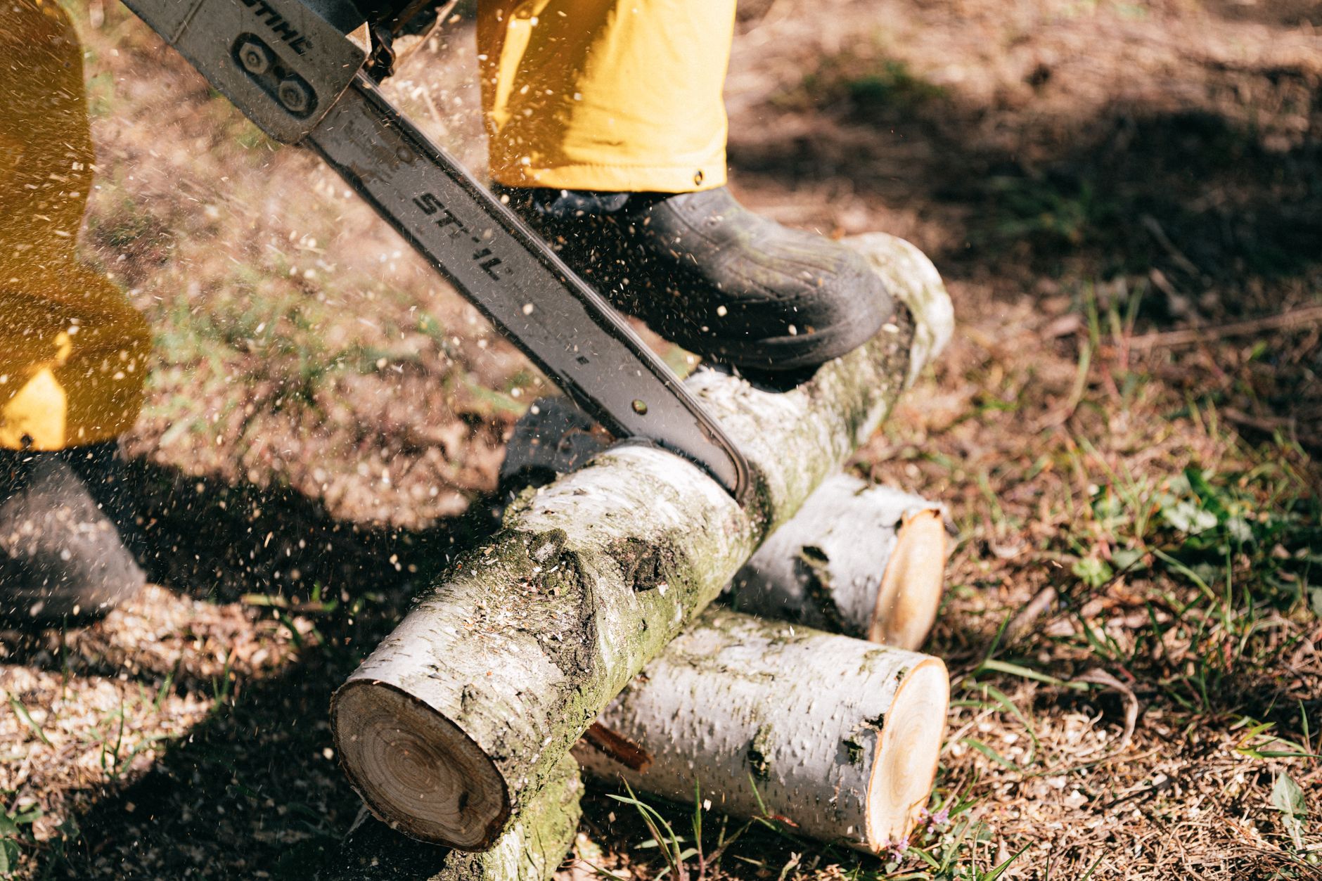 Tree Trimming — Dan's Tree Service