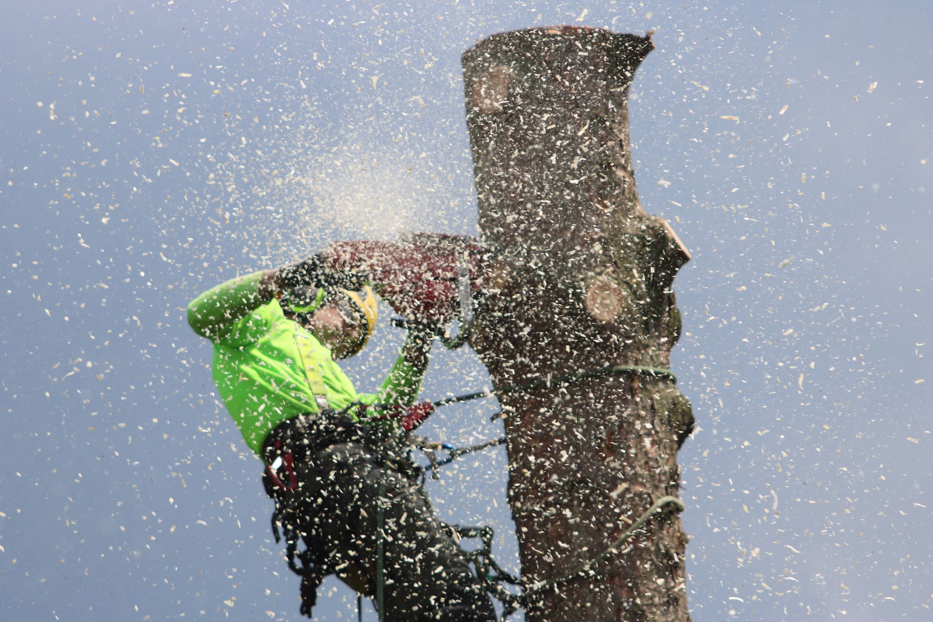 Debris Cleanup — Dan's Tree Service